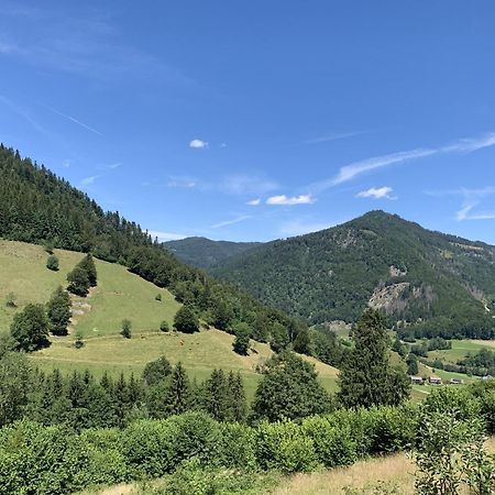 Ferienwohnung Sonnenterrasse Тодтмос Экстерьер фото